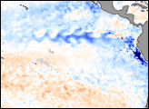 Pacific Sea Surface Temperature