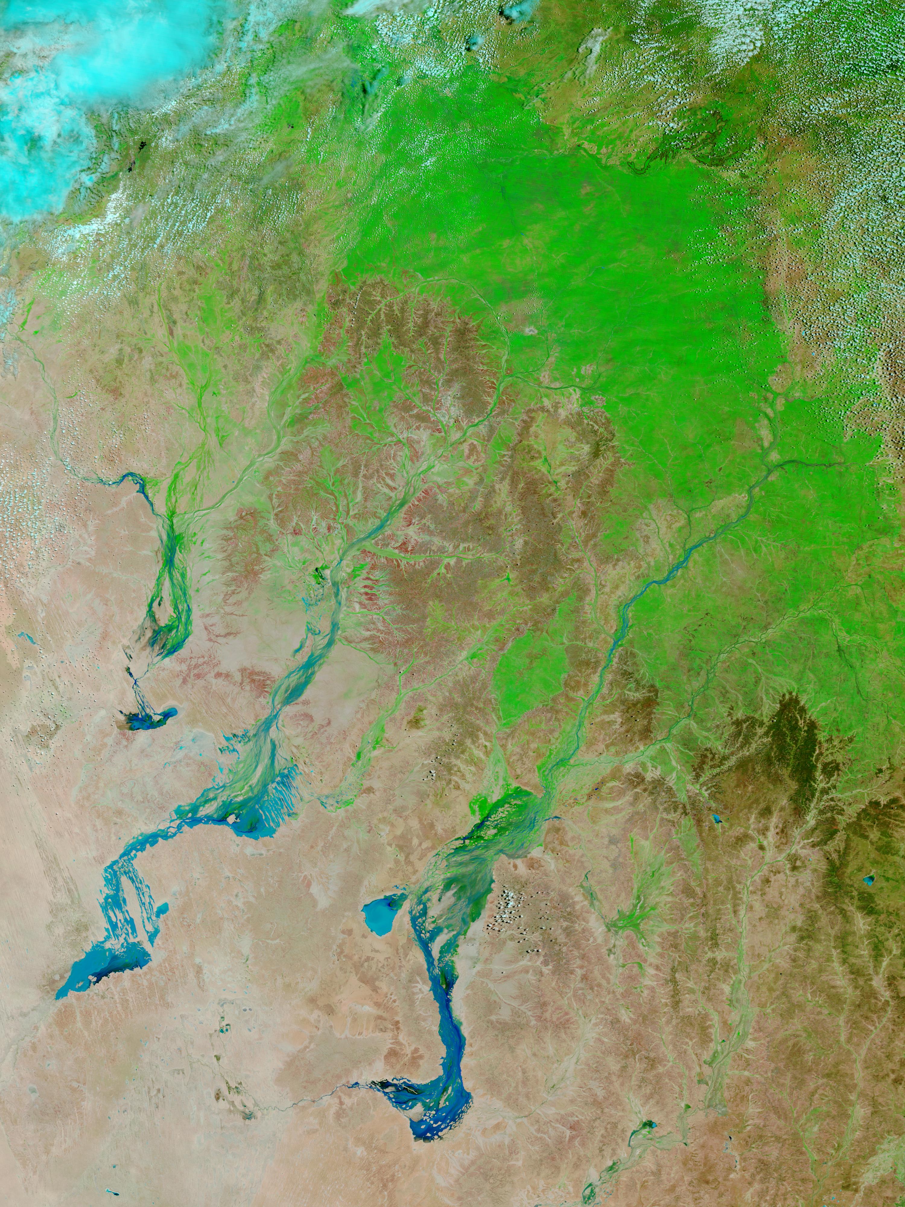 Floods and green-up in Queensland, Australia (false color) - related image preview