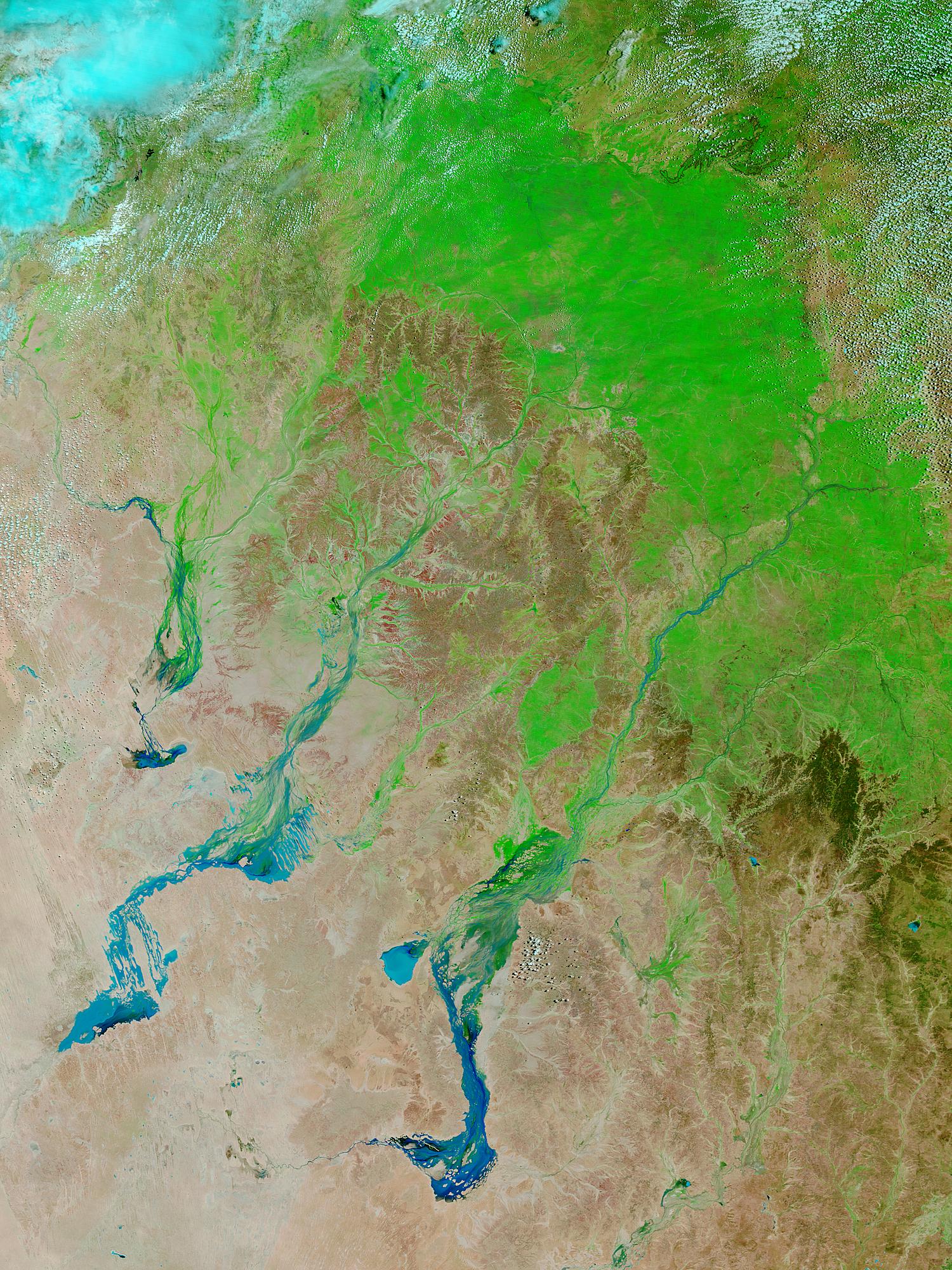 Floods and green-up in Queensland, Australia (false color) - related image preview
