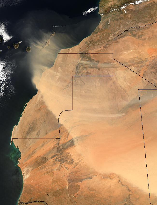 Dust across West Sahara (afternoon overpass) - related image preview