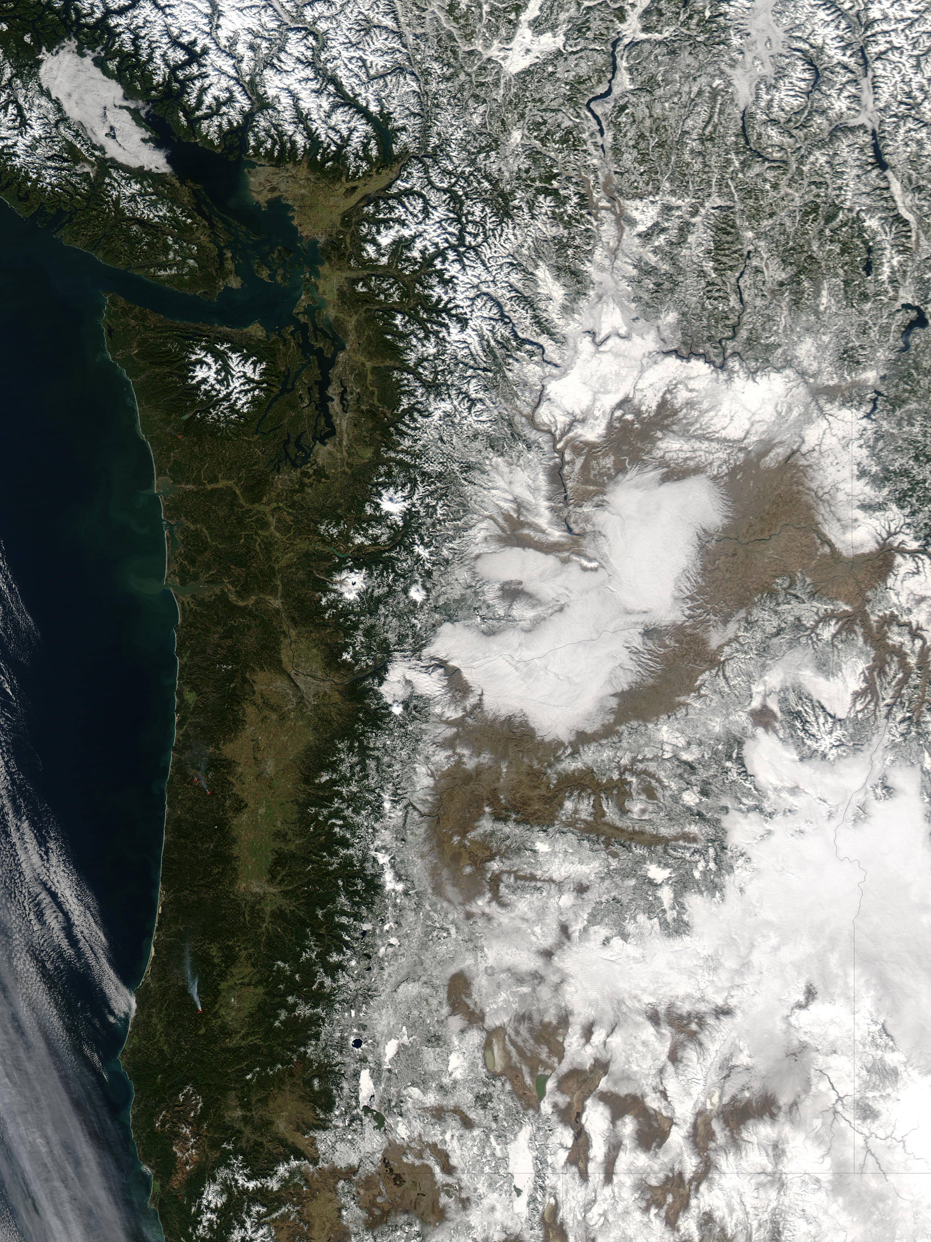 Fog and snow in the Pacific Northwest - related image preview