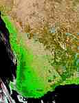 Drought conditions in Southwest Australia (false color) - selected image