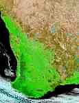 Record harvest in Southwest Australia (false color) - selected image