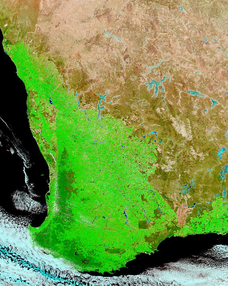 Record harvest in Southwest Australia (false color) - related image preview