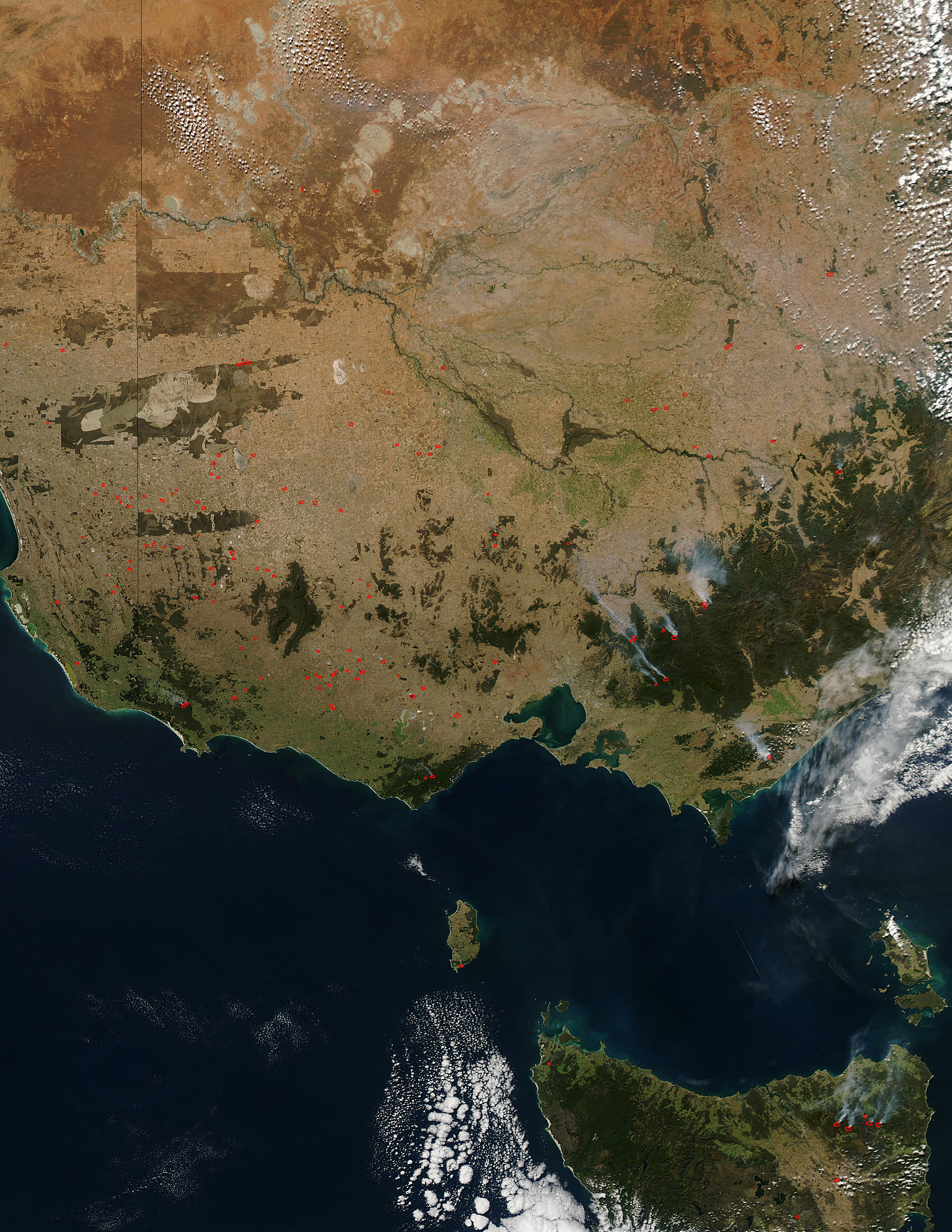 Fires in southeastern Australia - related image preview