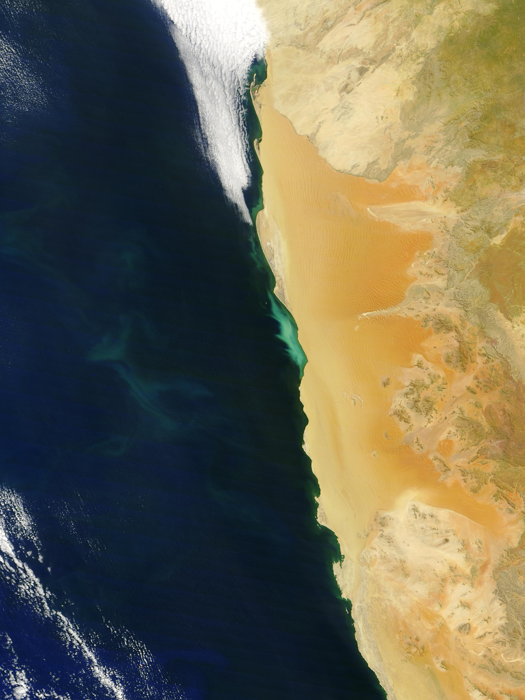 Hydrogen sulphide eruptions and phytoplankton bloom off the coast of Namibia - related image preview