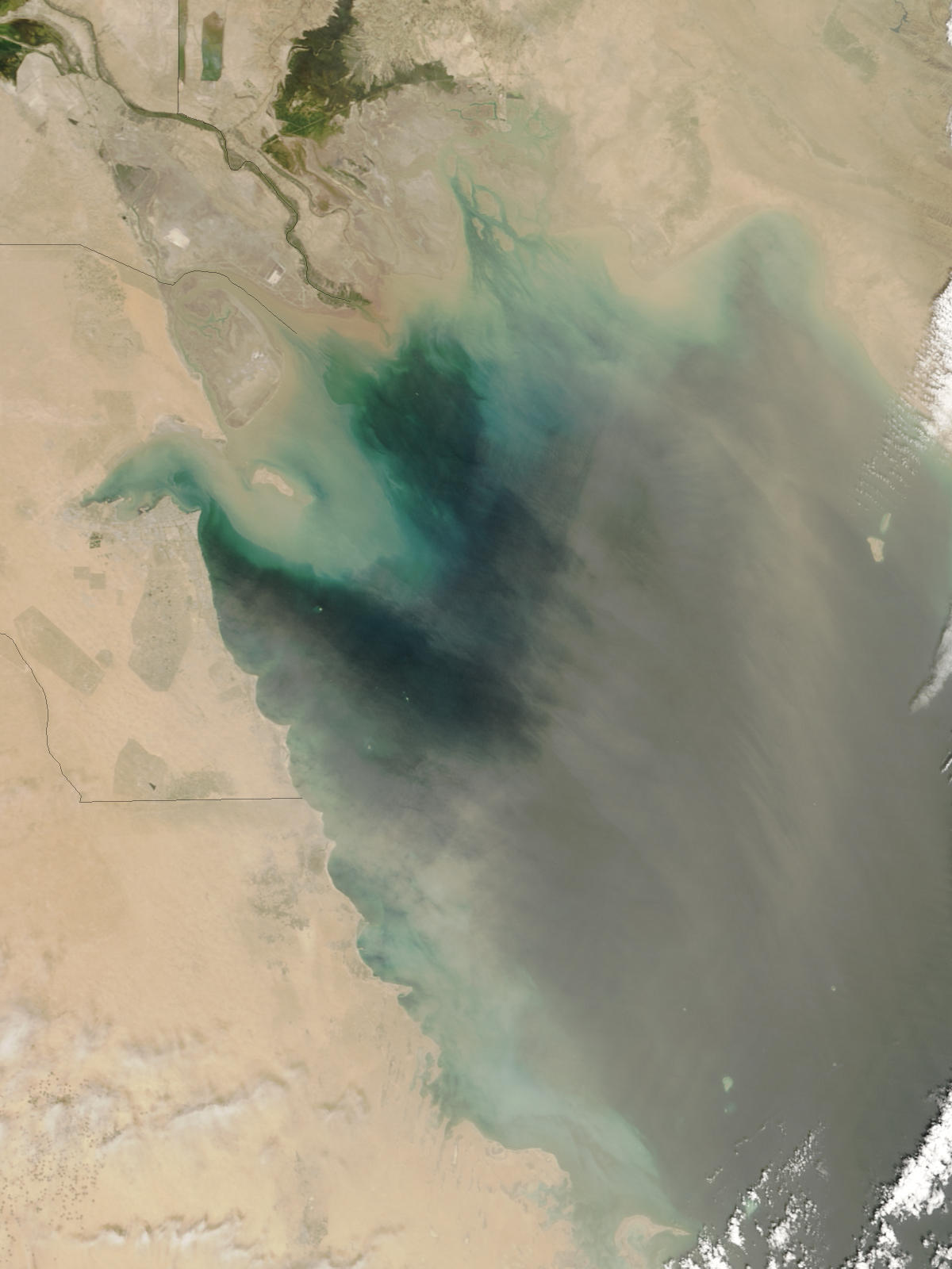 Dust storm in the Persian Gulf - related image preview