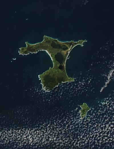 Chatham Islands, east of New Zealand - related image preview