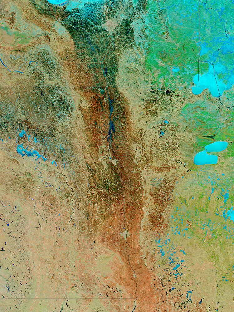 Floods along the Red River in North Dakota and Minnesota (false color) - related image preview