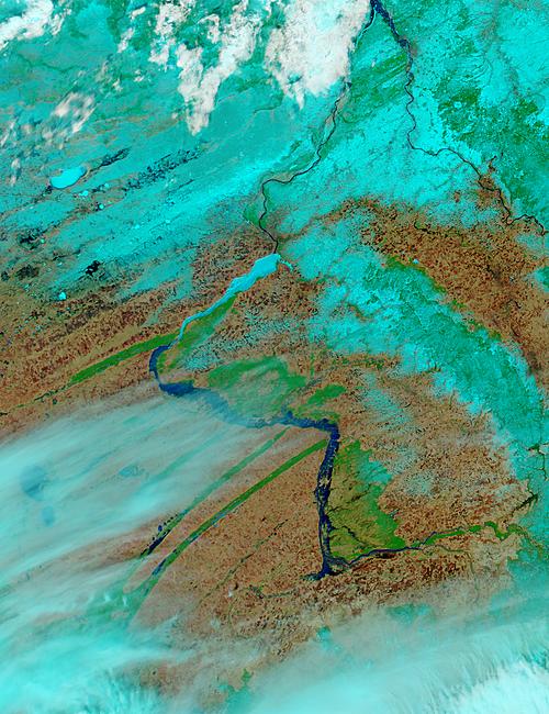 Flooding along the Ob River, Russia (false color) - related image preview
