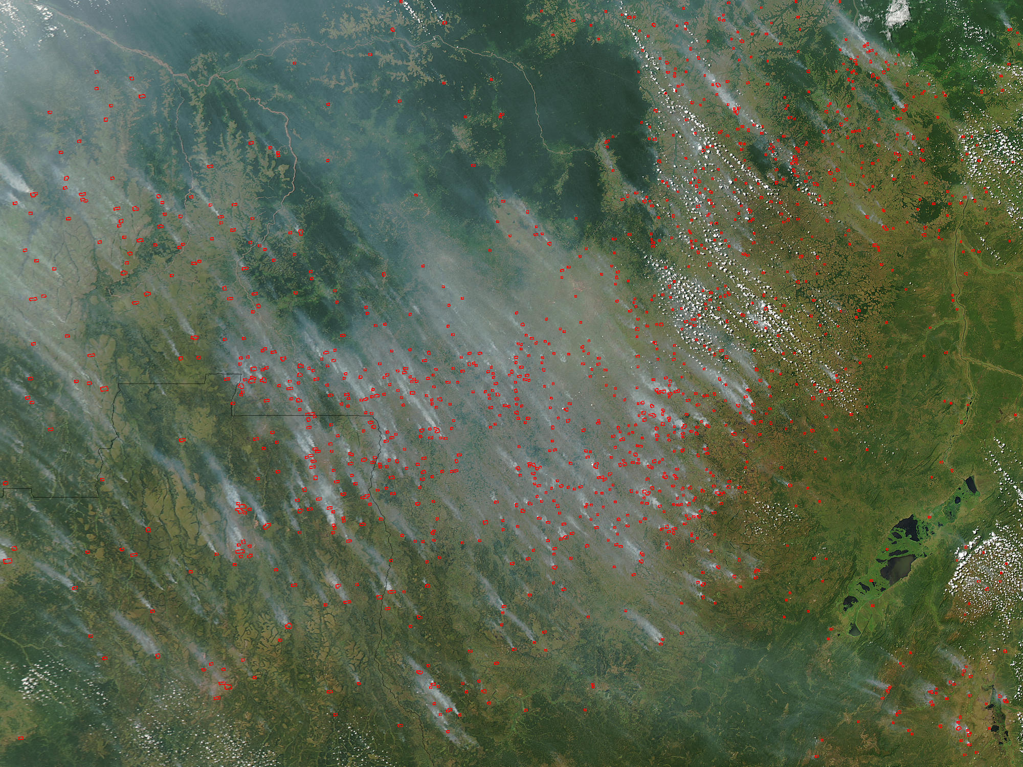 Fires across Congo and Angola (afternoon overpass) - related image preview