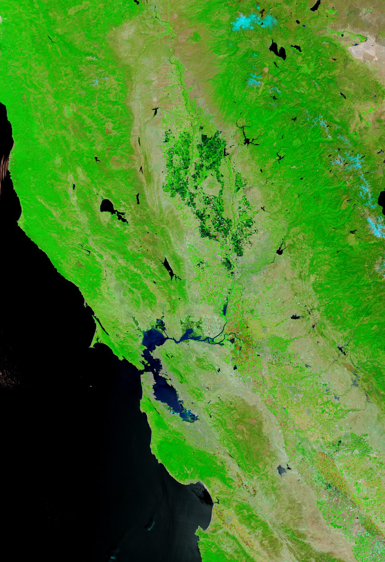 San Joaquin-Sacramento River Delta, California (before levee break, false color) - related image preview