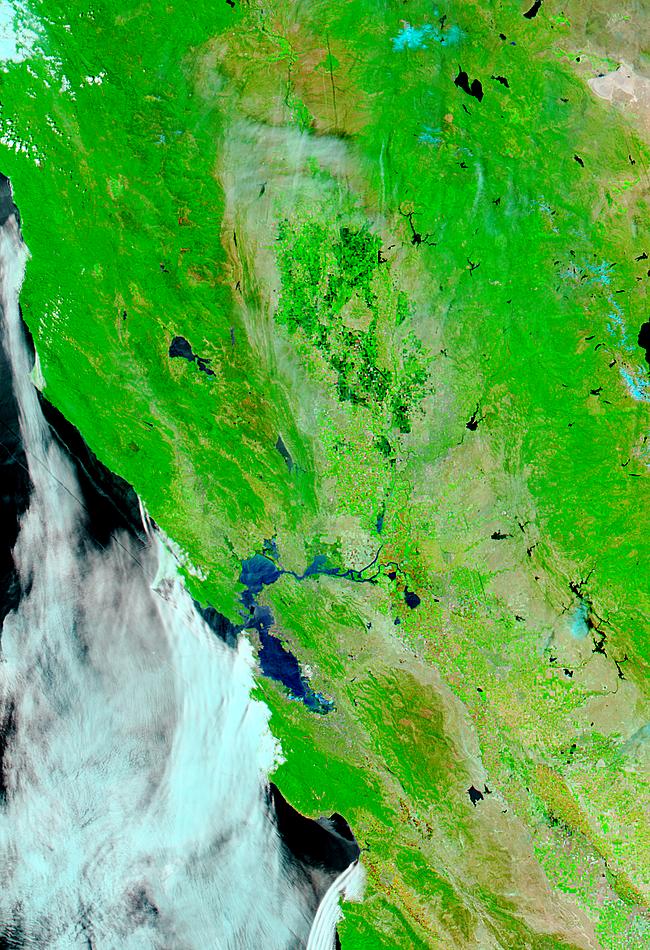 Flooding after levee break in San Joaquin-Sacramento River Delta, California (false color) - related image preview