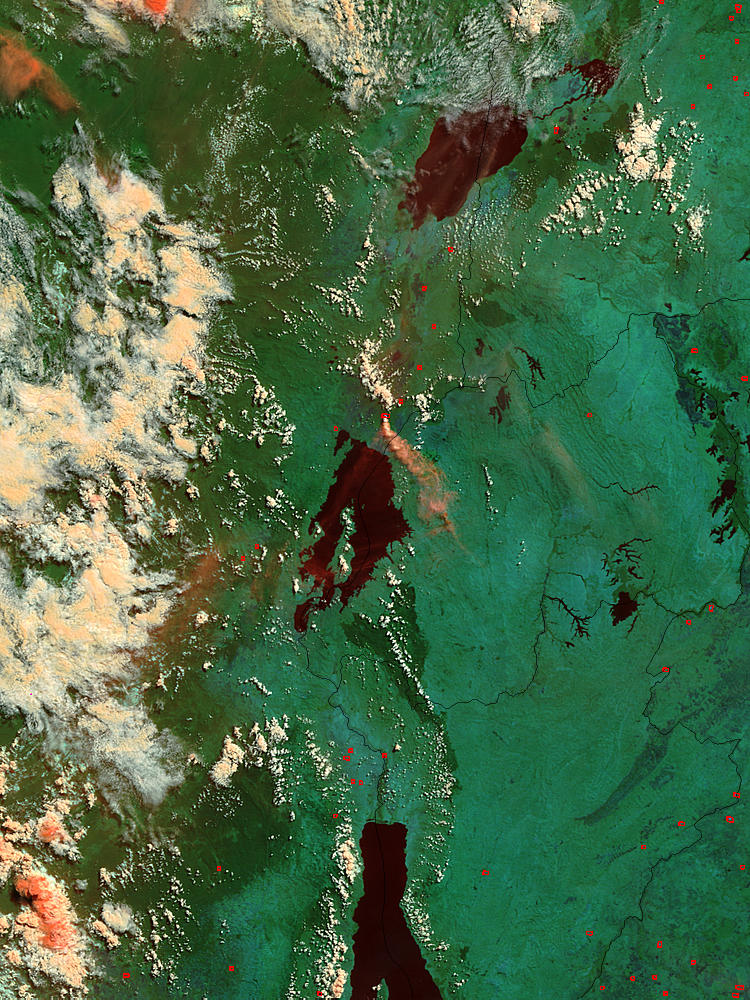 Eruption of the Nyiragongo Volcano, Democratic Republic of the Congo (false color) - related image preview