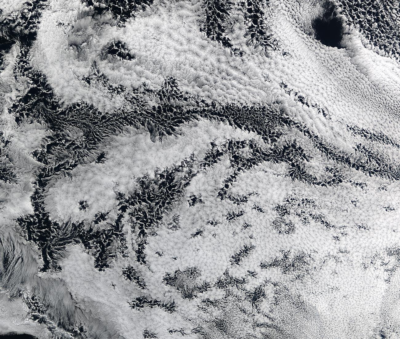 Open-cell clouds in South Atlantic - related image preview
