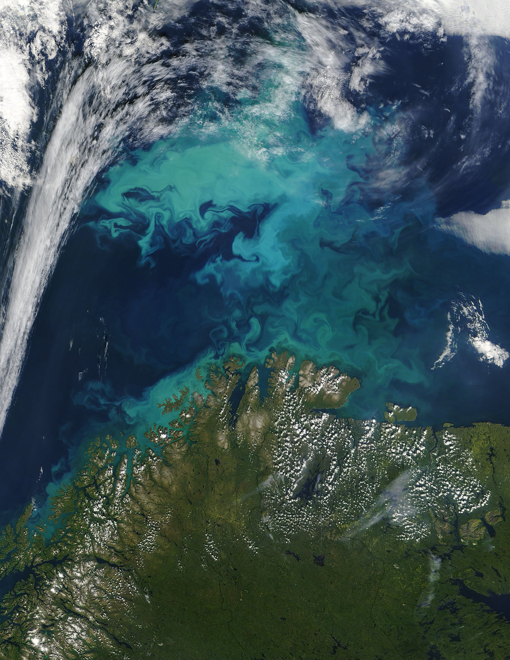 Phytoplankton bloom off Norway - related image preview