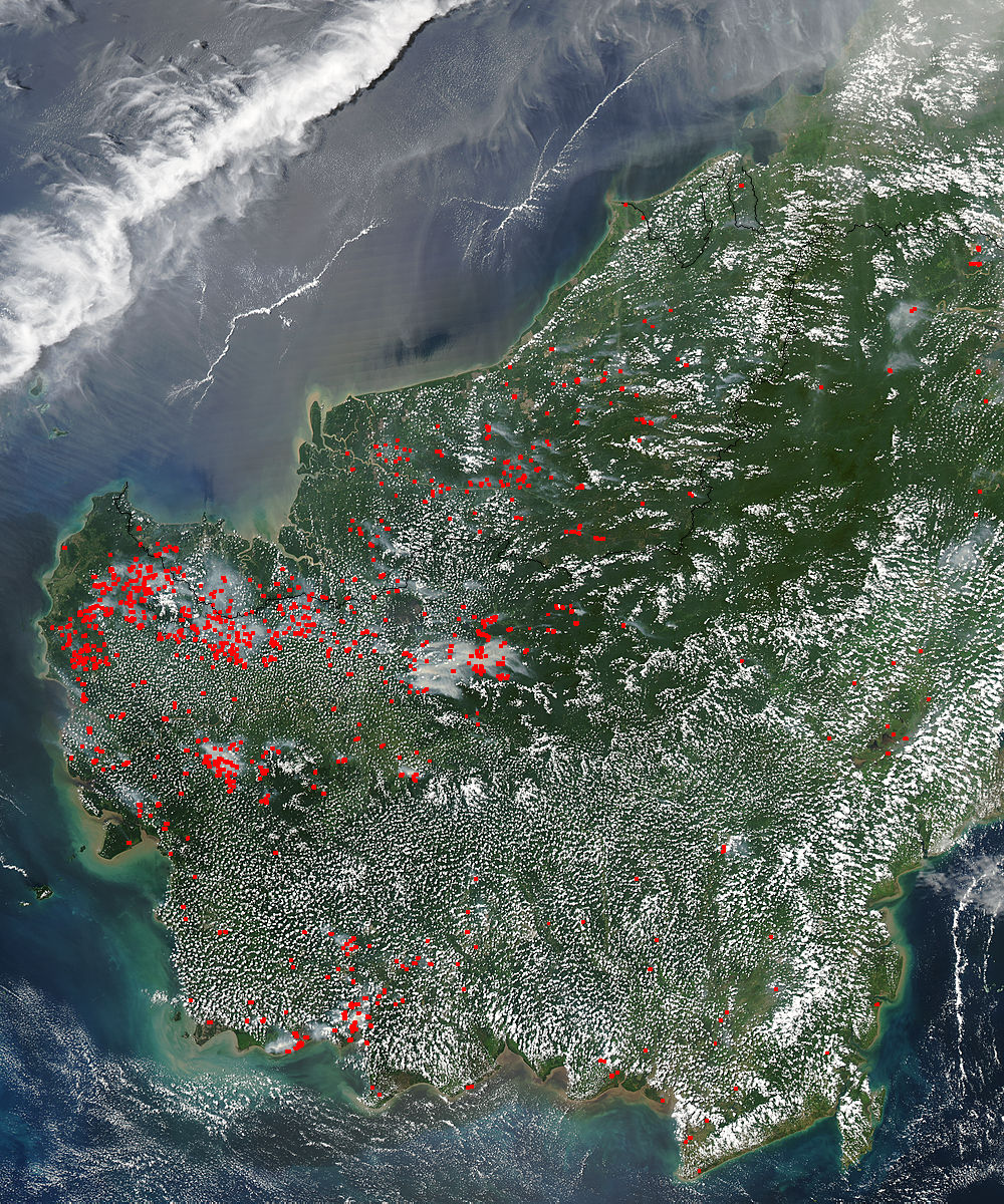 Fires across Borneo - related image preview