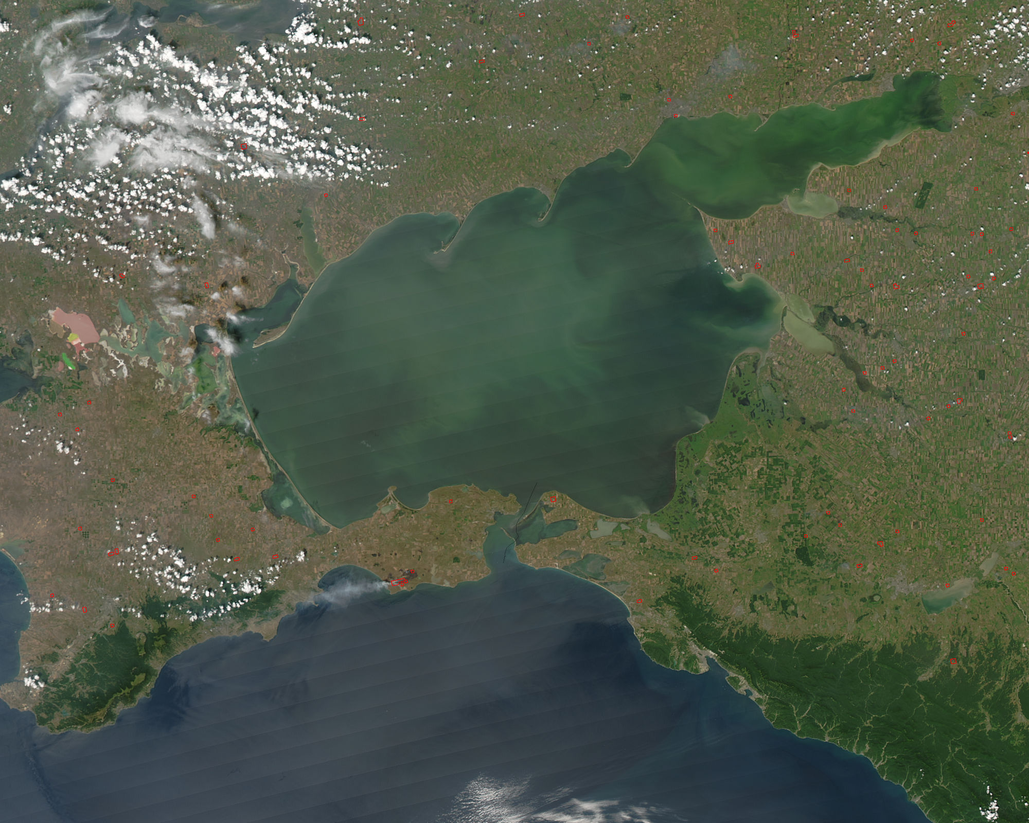 Phytoplankton bloom in the Sea of Azov - related image preview