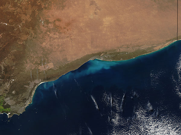 Phytoplankton bloom off Australia - related image preview