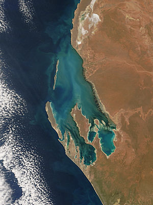Phytoplankton bloom in Shark Bay, Western Australia - related image preview