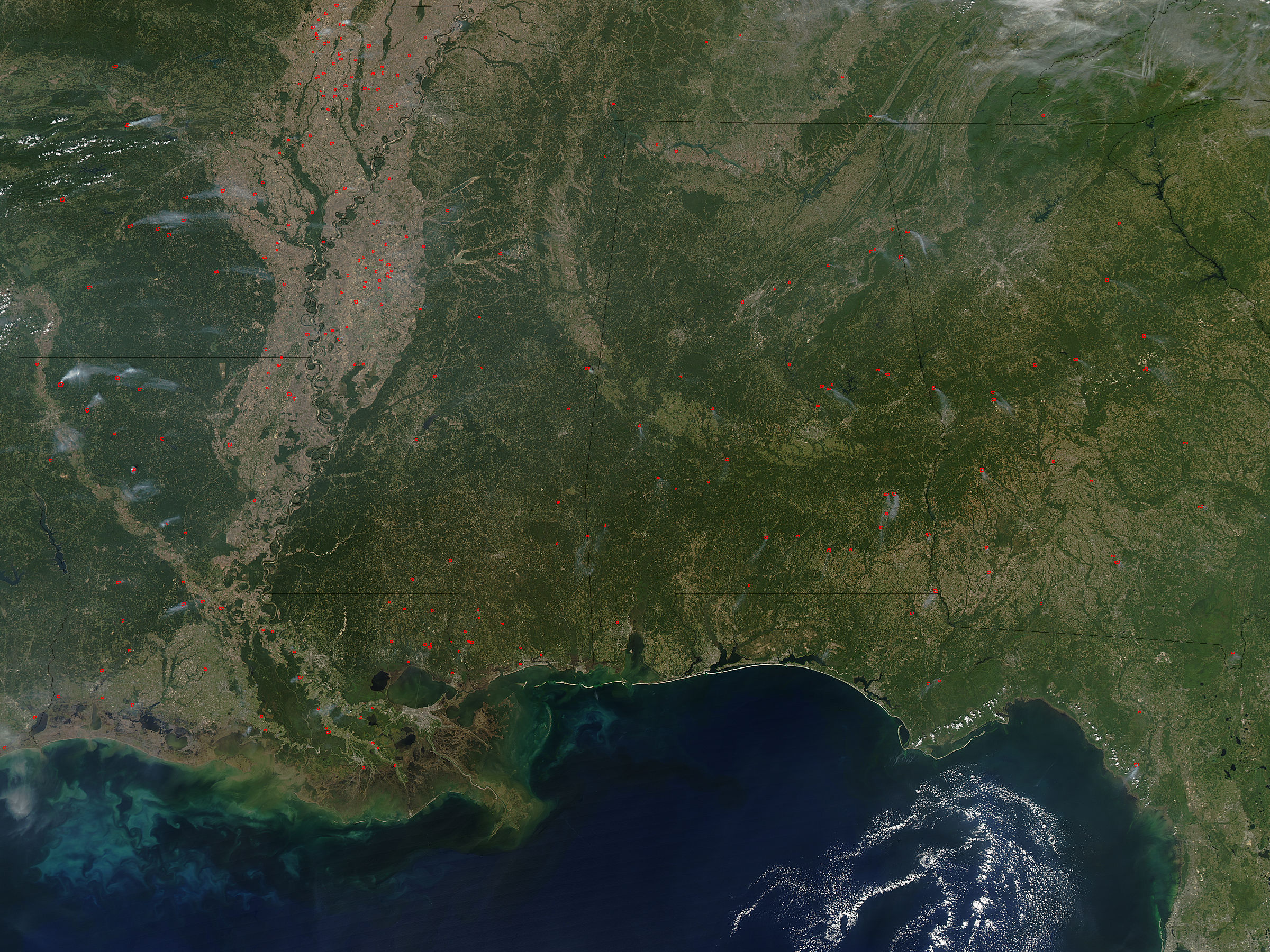 Fires in the Southeastern United States - related image preview