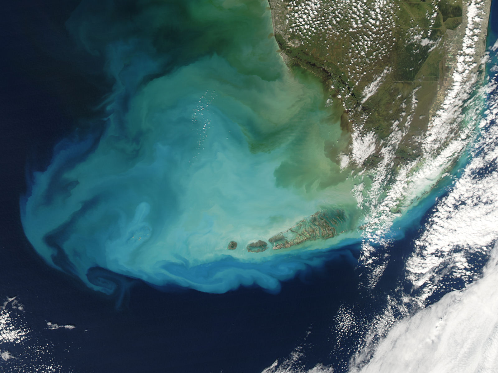 Resuspended bottom sediments off Florida - related image preview