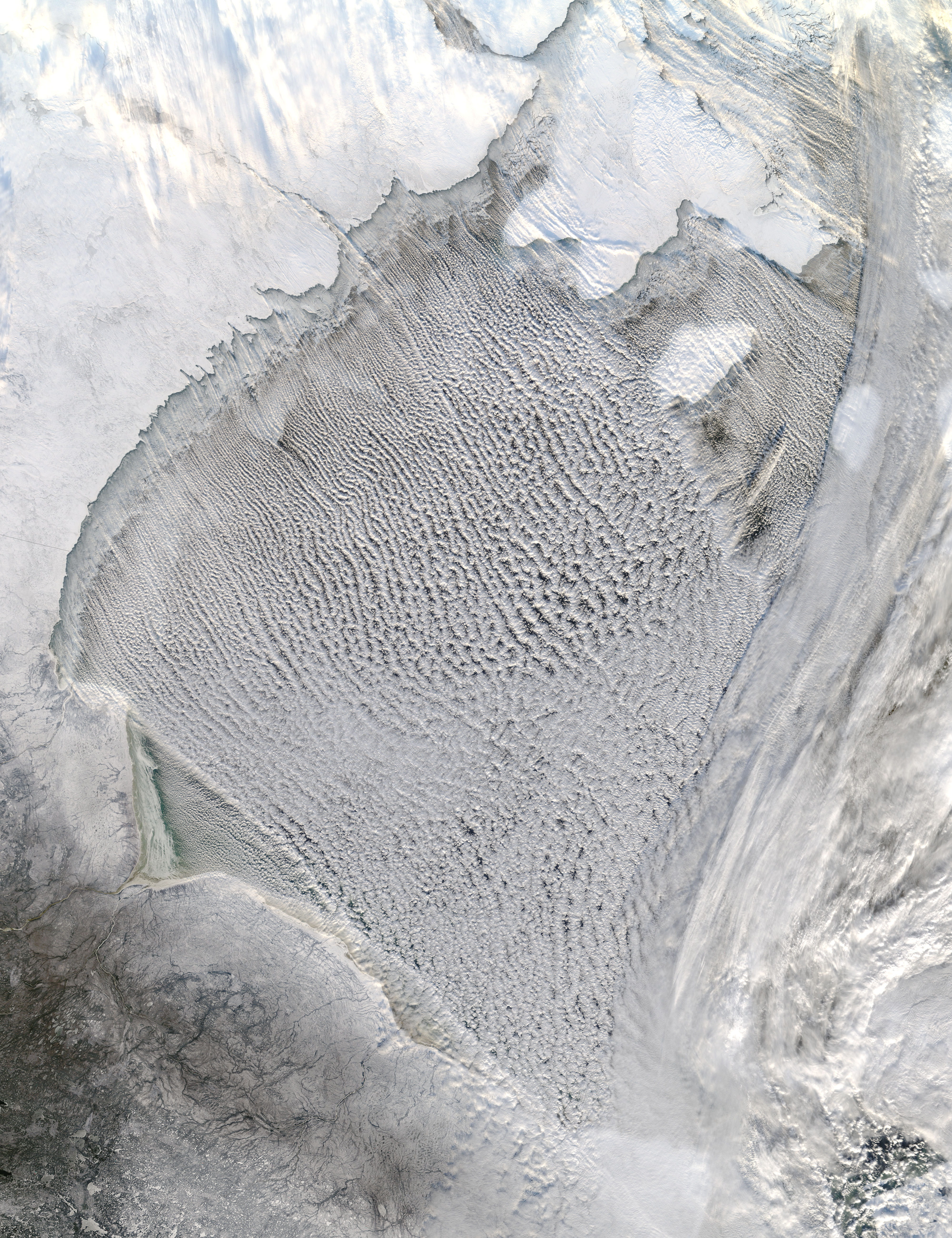 Cloud streets in Hudson Bay - related image preview