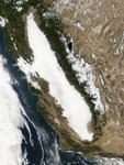Fog in California - selected image