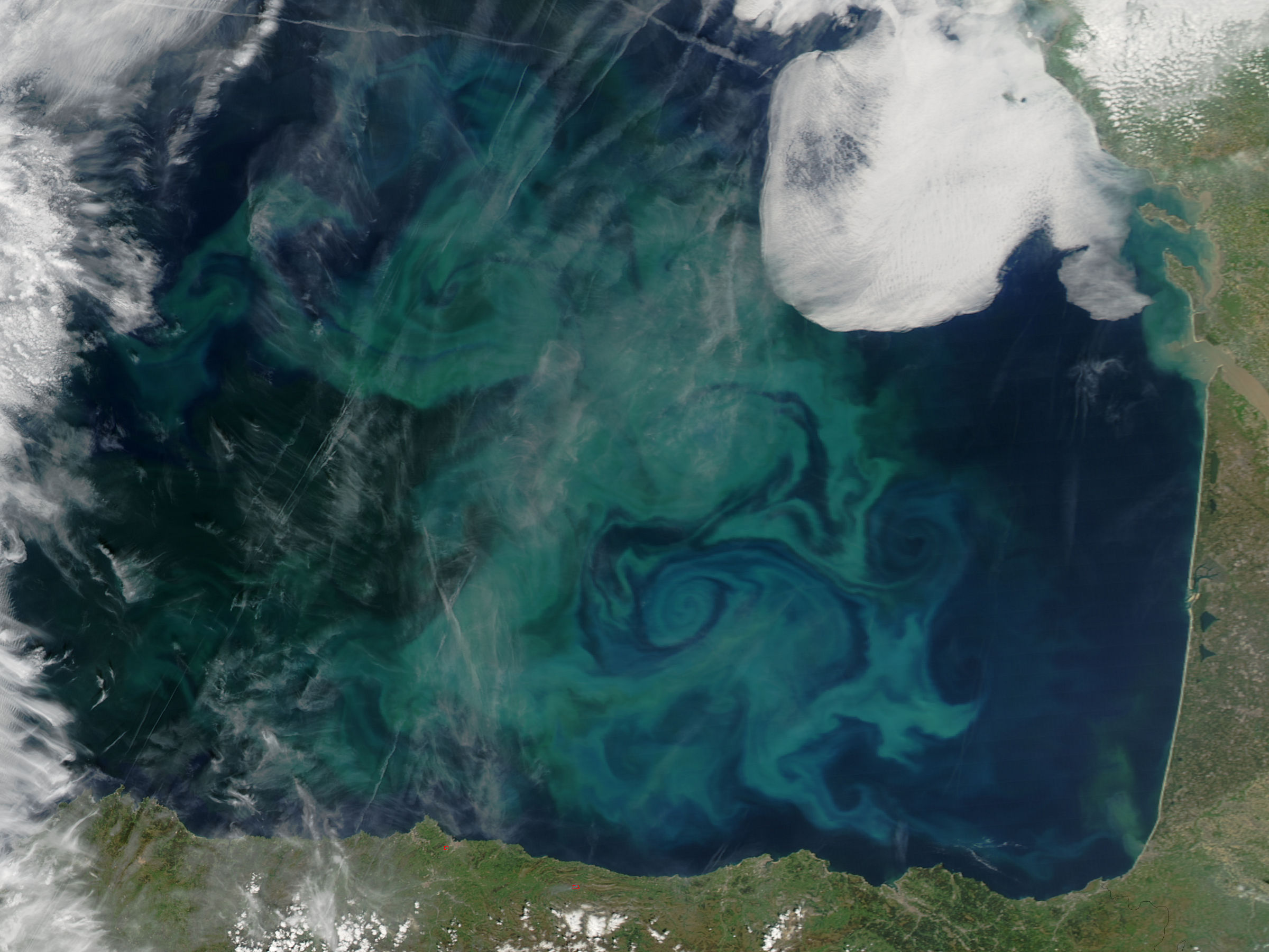 Phytoplankton bloom in the Bay of Biscay - related image preview