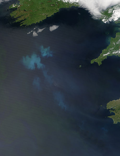 Phytoplankton bloom south of Ireland - related image preview