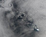 Cloud vortices off Heard Island, south Indian Ocean - selected image