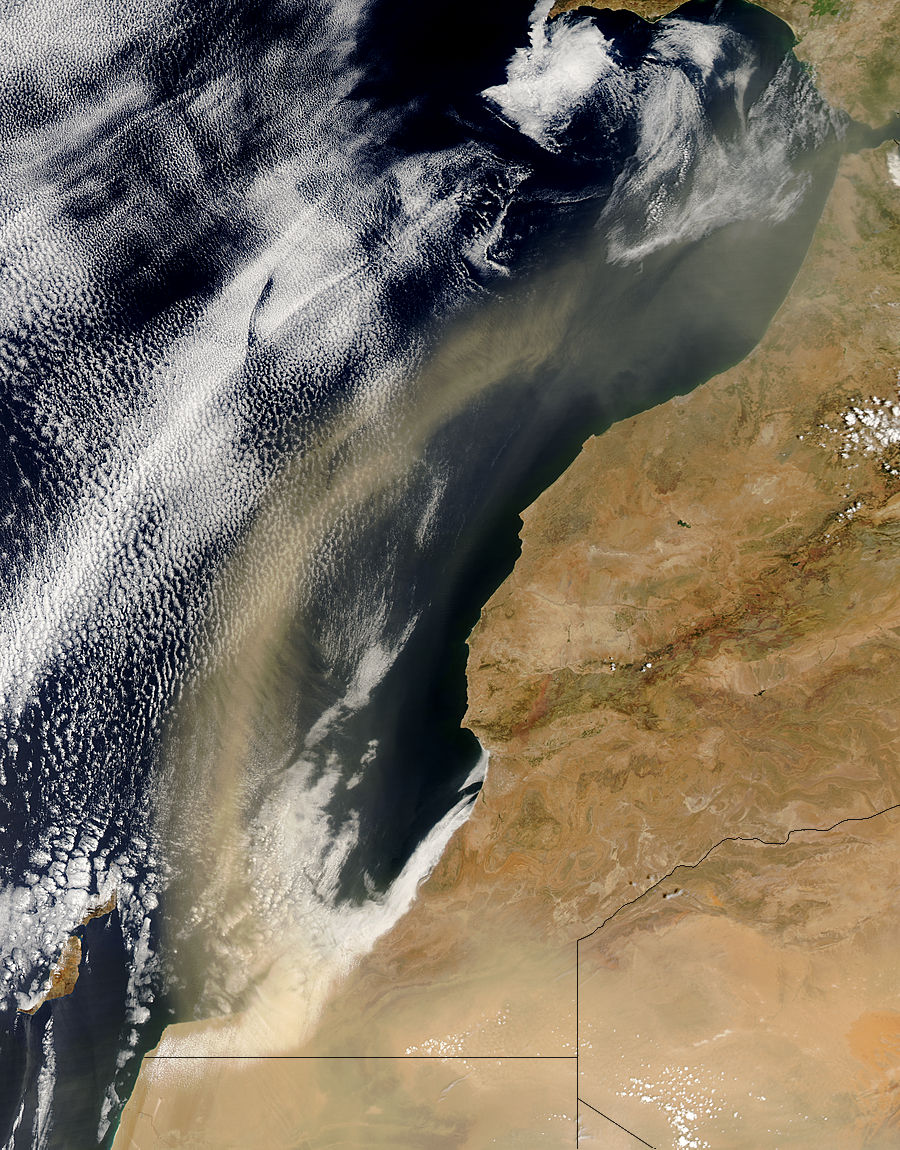Dust Storm off Morocco - related image preview