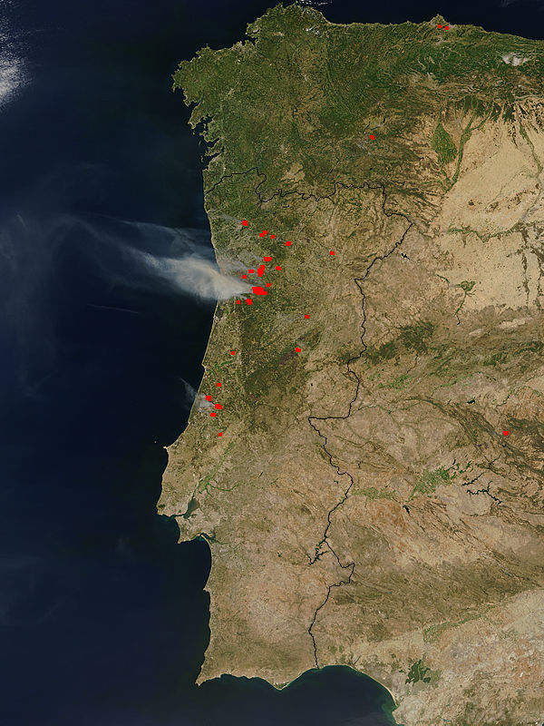 Fires in Portugal - related image preview