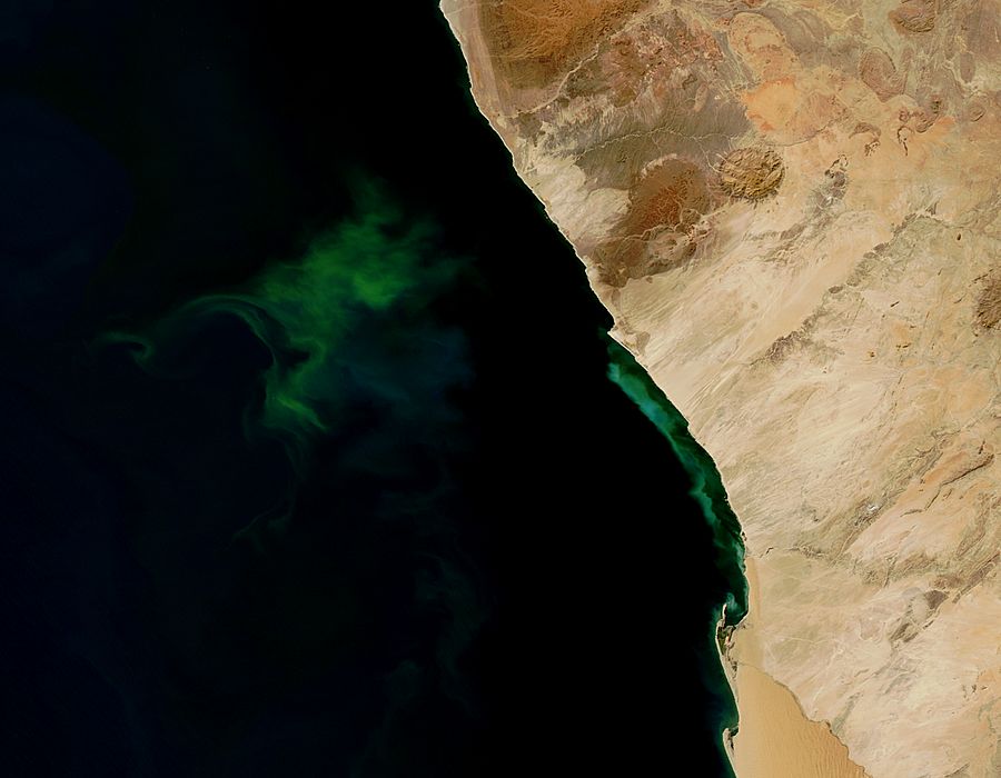 Hydrogen sulphide eruptions and phytoplankton bloom off Namibia - related image preview