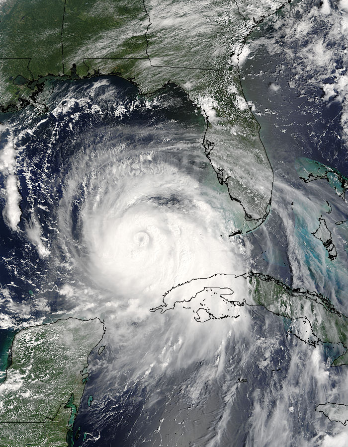 Hurricane Katrina (12L) in the Gulf of Mexico - related image preview