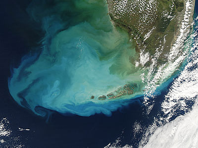 Resuspened bottom sediments off Florida - related image preview