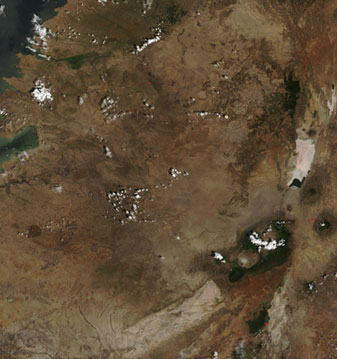 Drought on the Serengeti Plain - related image preview