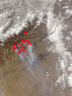 Fires and Burn Scars in Mongolia - related image preview