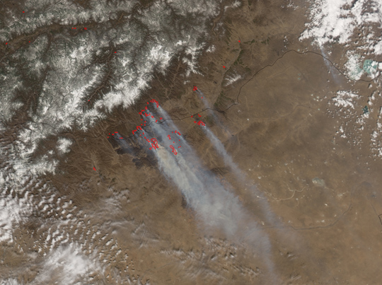 Large Fires in Mongolia - related image preview