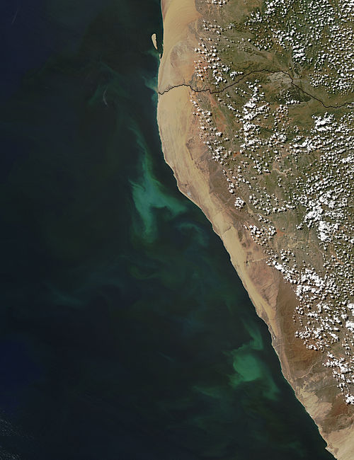 Phytoplankton and Sulfur off the coast of Namibia - related image preview