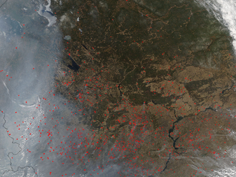Fires and Smoke in Western Russia - related image preview