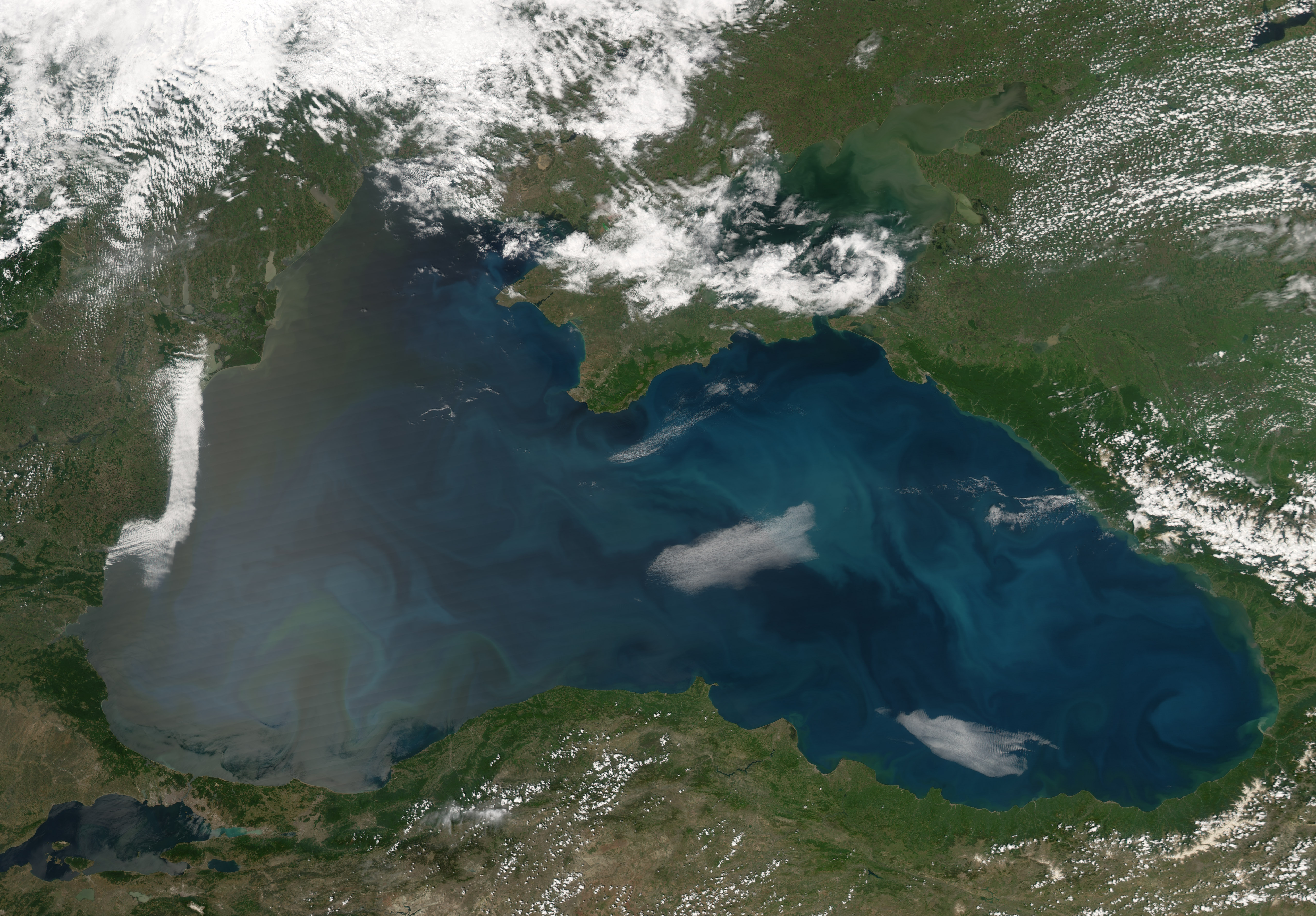 Phytoplankton Blooms in the Black Sea - related image preview