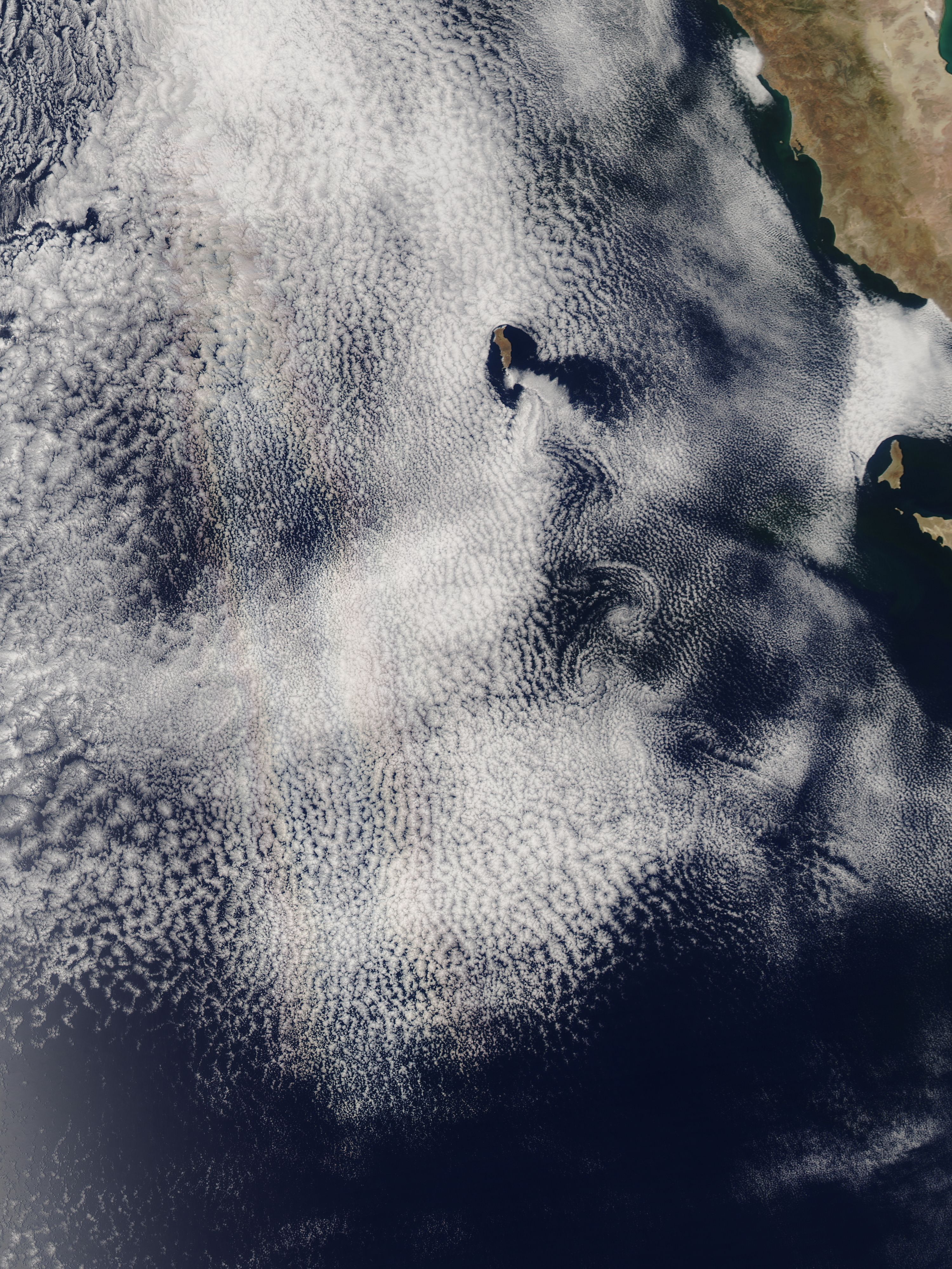 Vortex Street and Glory off Guadalupe Island, Mexico - related image preview