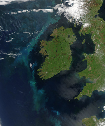 Phytoplankton Bloom Off Ireland - related image preview