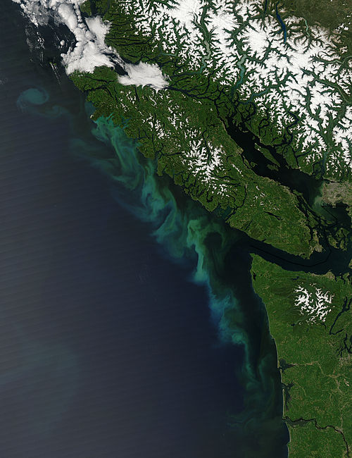 Phytoplankton Bloom off Vancouver Island, British Columbia - related image preview