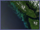Phytoplankton Bloom off Vancouver Island, British Columbia - selected child image