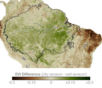 Amazon Greener in Dry Season than Wet - related image preview