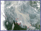 Smoke and Fires Across Western Siberia - selected image