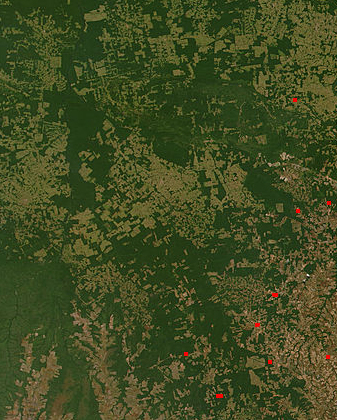 Deforestation in Mato Grasso, Brazil - related image preview