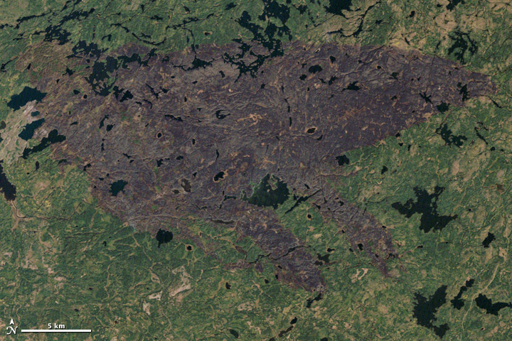 Burn Scar from the Pagami Creek Fire in Minnesota